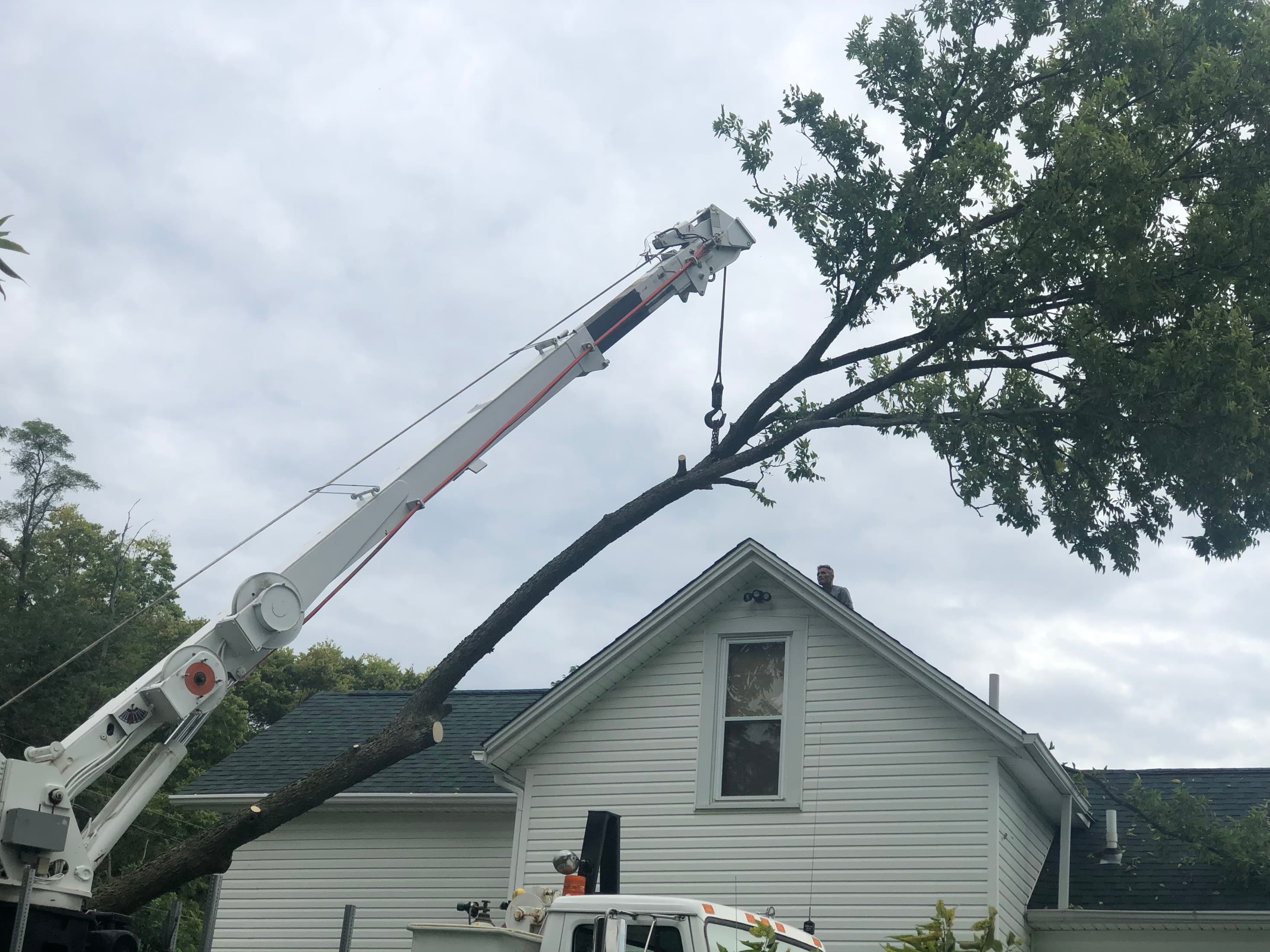 Family Tree Service crane-assisted tree removal lowering a large limb over a home in the Fairborn Ohio area